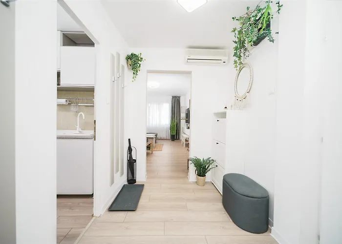 Family - Calliope - By Openhouse Timişoara