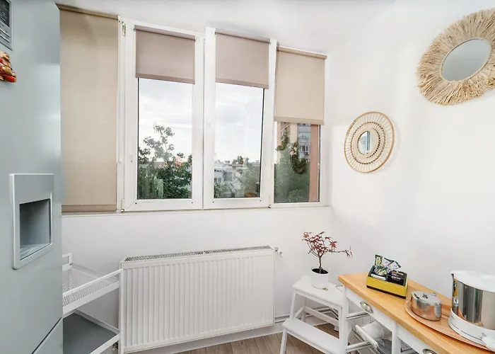 Family - Calliope - By Openhouse Timişoara